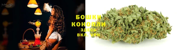 молекула духа Балахна