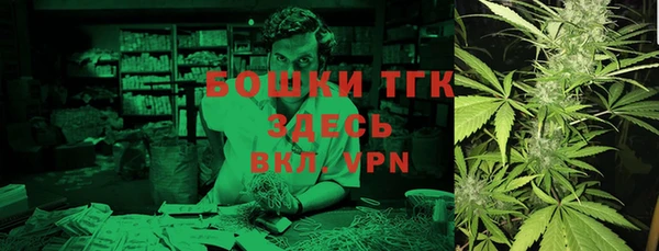 молекула духа Балахна