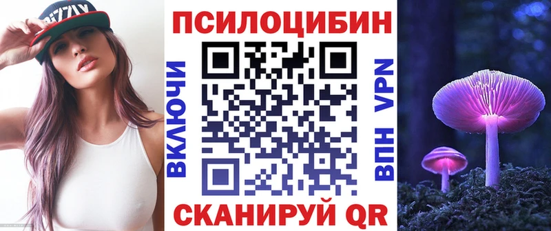 OMG   Тогучин  Галлюциногенные грибы Cubensis  закладки 